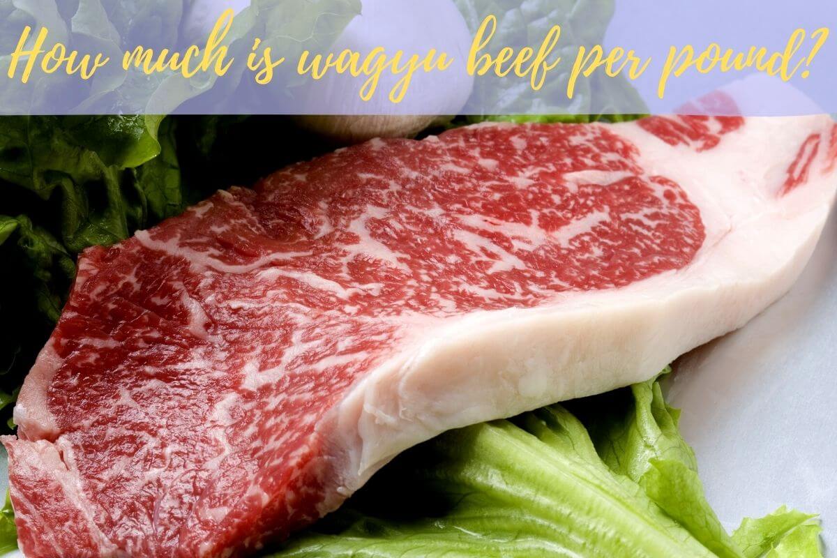 how much is wagyu beef per pound