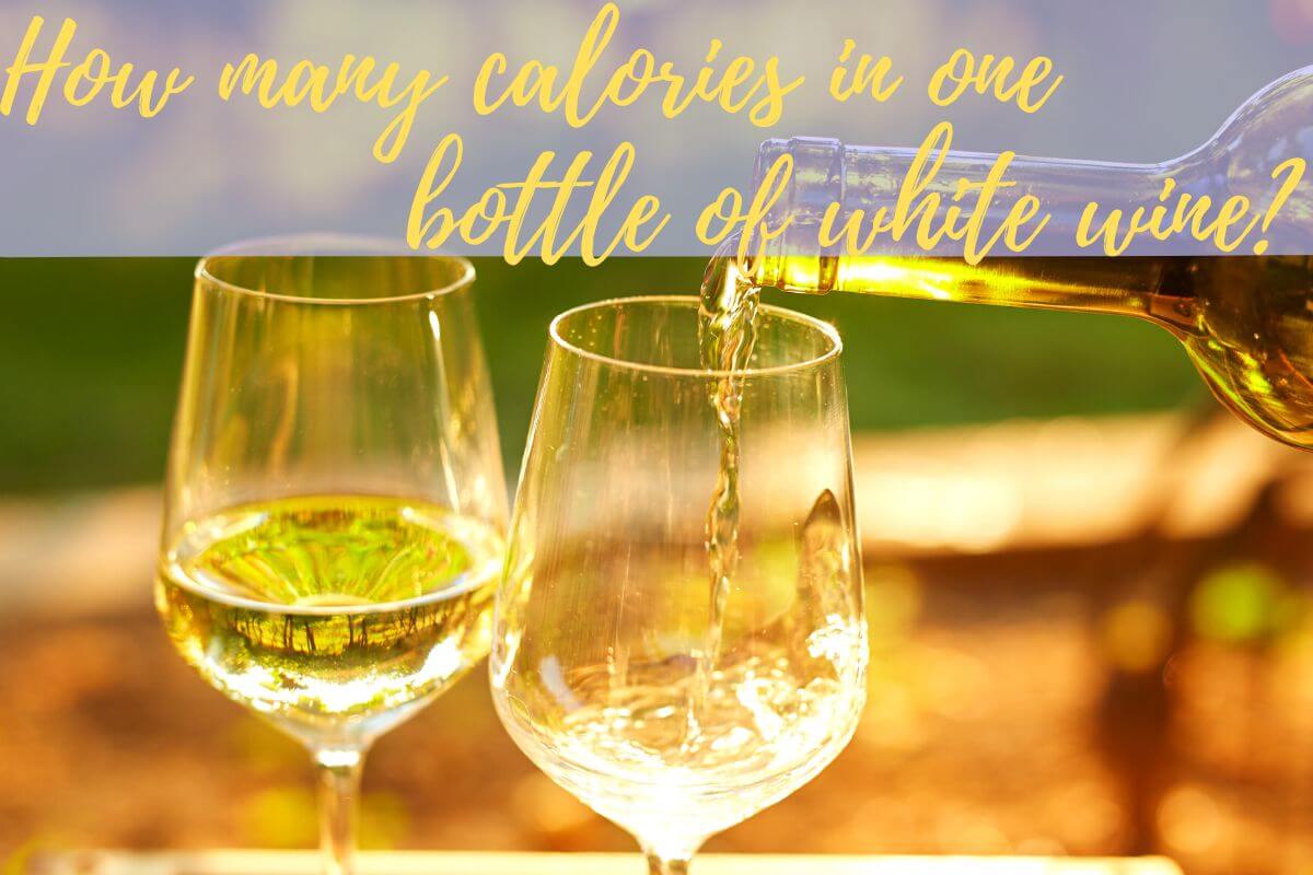 how many calories are in one bottle of white wine