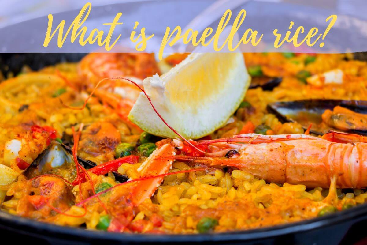 what is paella rice